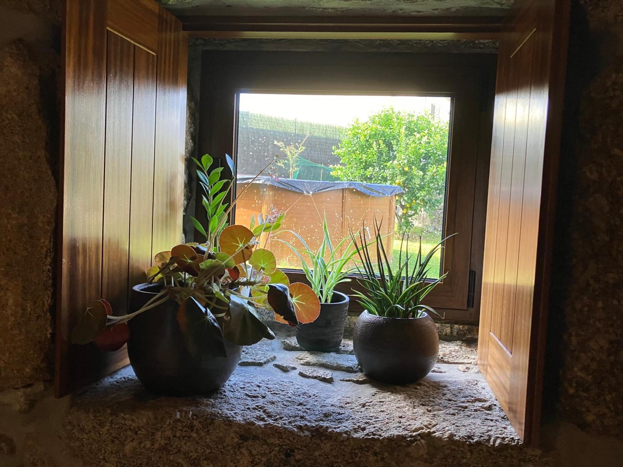 Bergui Guesthouse - Em Guimaraes Desde 2017 מראה חיצוני תמונה